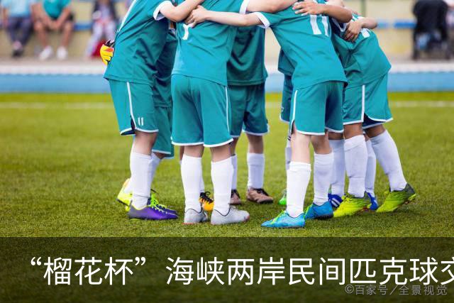 “榴花杯”海峡两岸民间匹克球交流赛在云南省玉溪开赛