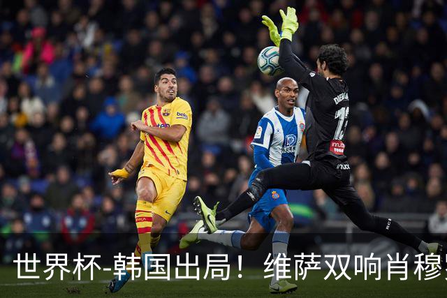 世界杯-韩国出局！维萨双响肖穆罗多夫神仙球 民主刚果3-1乌兹